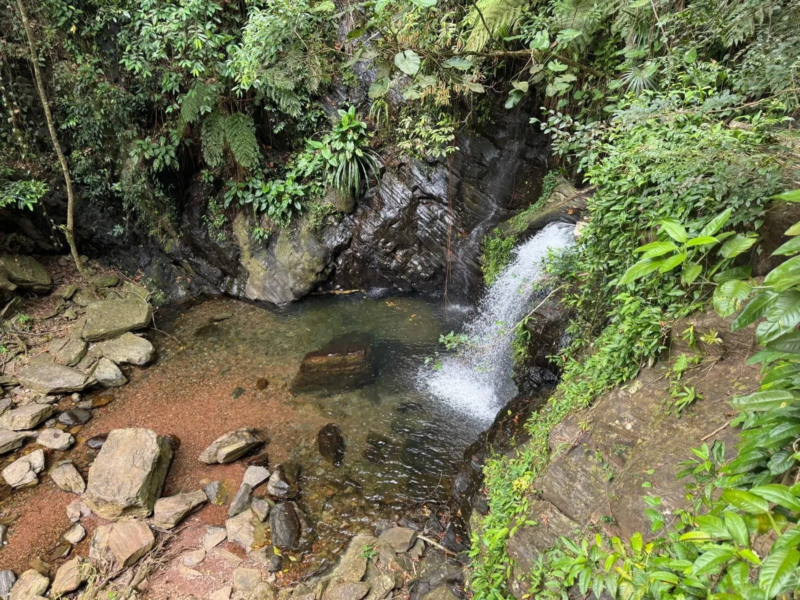 Waterfall in the Belize rainforest