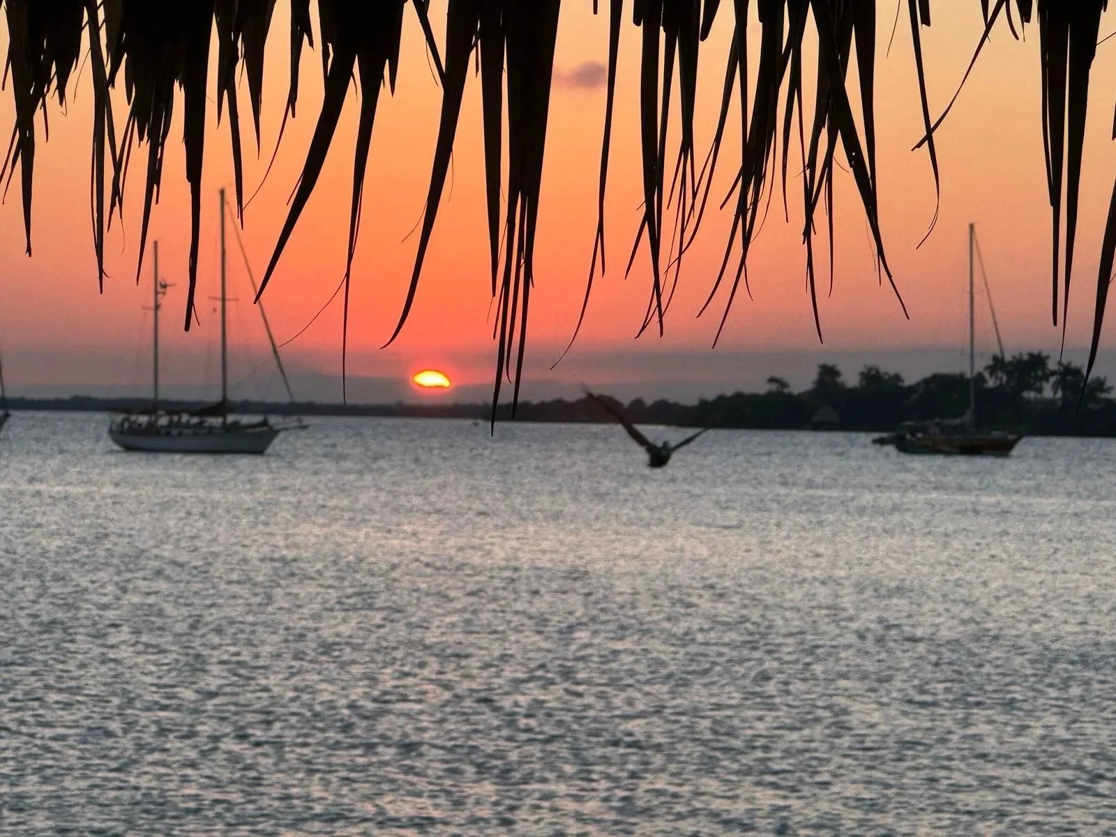 Sailboats at anchor beneath a Belize sunset